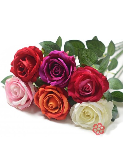 Одиночный бутон розы Гаето бархатный микс - Фото 1 | Компания «Венок»