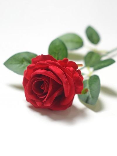 Одиночный бутон розы Гаето бархатный микс - Фото 2 | Компания «Венок»
