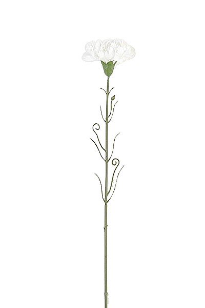 ЭДВИДЖ Одиночная гвоздика пластиковая ( белая) - Фото 2 | Компания «Венок»