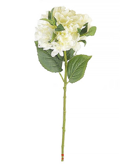Ветка гортензии Герцогиня — белая - Фото 1 | Компания «Венок»