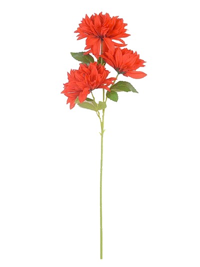 Букет хризантемы Жасмин — красный - Фото 2 | Компания «Венок»