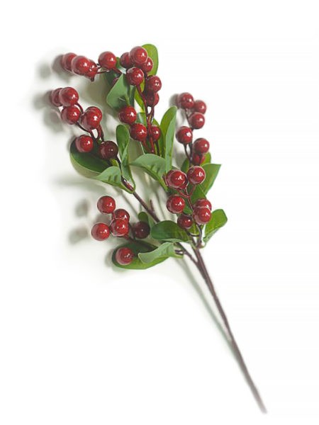 ЭЛНВИК Ветка ягод в букете 6 голов – красная - Фото 2 | Компания «Венок»
